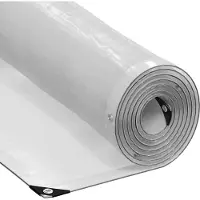 vidaXL Bâche transparente avec œillets 2x10 m polyéthylène