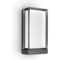 Steinel Applique murale d'extérieur LED intelligente L 42 C dimmable connectable par app Bluetooth