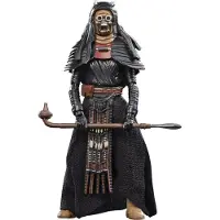 Hasbro - Star Wars Figurki Tusken Warrior 9,5cm z The Book of Boba Fett