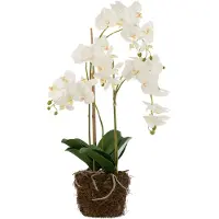 J-Line Orchidee en terre plastique blanc/vert large