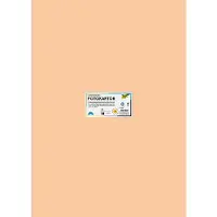 Folia Carton photo, (l)500 x (h)700 mm, 300 g/qm, abricot (300 g/m², 10x)