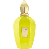 XERJOFF " V " Amabile EDP 100 ml UNISEX
