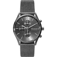 Skagen Montre Holst SKW6608