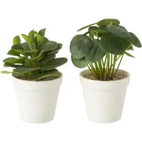 J-Line Plantes en pot artificielles vert assortiment de 2
