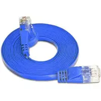 Lightwin Câble de réseau (UTP, CAT6, 0.25 m)