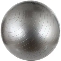 Avento Ballon d'entraînement et de gymnastique