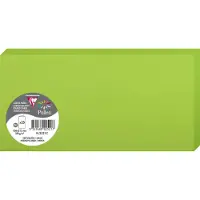 Pollen Clairefontaine Pollen DL - Vert intense - 106 x 213 mm - 210 g/m² - 25 carte(s) cartes à demi-pli teintée