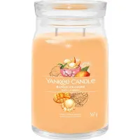 Yankee candle Bougie Glace à la Mangue (glace à la mangue) - 567,0 g