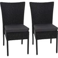 MCW Poly-Rattan Chaise -G19 (lot de 2)