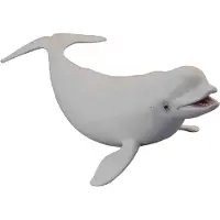 Collecta Baleine blanche - (L)