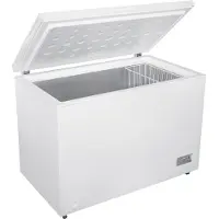 Beko Congélateur CF316EWN