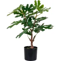 House Nordic Figuier artificiel - Vert | H:50 cm | PE plastique
