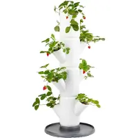 Gusta Garden Sisi Fraise (27 x 27 x 77 cm)