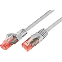 Wirewin Câble de réseau (UTP, CAT6, 1 m)