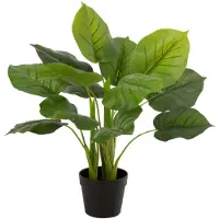 J-Line Pothos plante en pot plastique vert