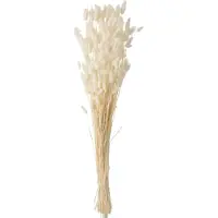 J-Line Bouquet queue de lievre sechees ecru large