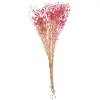 J-Line Bouquet gypsophile seche fuchsia