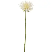 J-Line Chrysantheme mini plastique blanc small