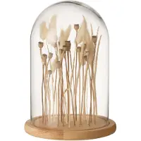 J-Line Cloche en verre sur fleurs sechées ecru/brun verre bois small