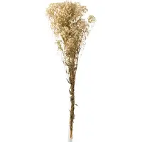 J-Line Bouquet gypsophile seche ecru
