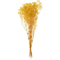 J-Line Bouquet gypsophile seche jaune
