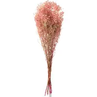 J-Line Bouquet gypsophile seche rose