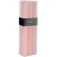 J-Line Boite 6 boug rose pou 9h