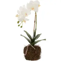 J-Line Orchidee en terre plastique blanc/vert small