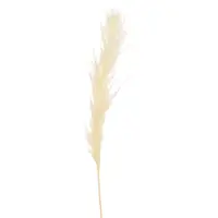 J-Line Branche plumes pampas ecru medium