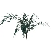 J-Line Bouquet eucalyptus sauvage seche vert