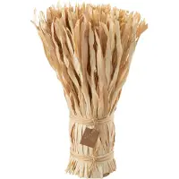J-Line Bouquet fleurs sechees naturel large