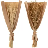 J-Line Bouquet herbes sechees naturel assortiment de 2