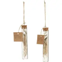 J-Line Suspension tubes fleurs sechees verre naturel assortiment de 2