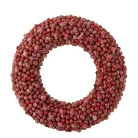 J-Line Suspension couronne baies rond plastique rouge large
