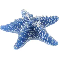 J-Line Bougie etoile de mer bleu small - 2 heures