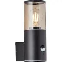 Brilliant Applique extérieure Sergioro | luminaire décoratif d'extérieur | anthracite | avec détecteur de mouvement | 1x E27 max. 20 W | IP44