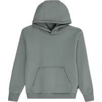 Cars Jeans Sweat 'FERGAL' vert pastel