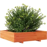 vidaXL Jardinière cire marron 100x100x26,5 cm bois de pin massif