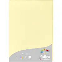 Pollen Papier