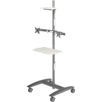 Dataflex Trolley de conférence VIEWMATE COMBO (Sol, 24", 15 kg), Support de moniteur, Argent