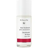 Dr. Hauschka Rose Deodorant 50ml - Cruelty Free