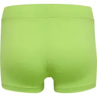 Newline Sous-vêtements de sport gris argenté / vert clair