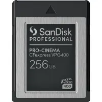 SanDisk Carte mémoire - 256 Go - Format CFexpress Type B