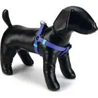 Beeztees BZ NYL HARNAIS UNI BLEU 26-40 (Chien, Général)