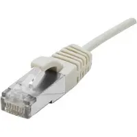 Dexlan - Cordon de raccordement - RJ-45 (M) pour RJ-45 (M) - 30 cm - 4.8 mm - SFTP - CAT 6a - sans halogène, sans crochet - gris