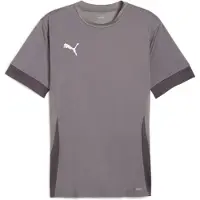 Puma T-Shirt fonctionnel gris / gris foncé / blanc