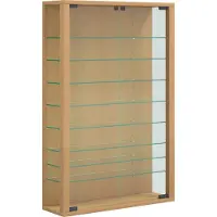 VCM Vitrine murale suspendue vitrine en verre vitrine murale vitrine en verre Vitrosa Mini Vitrine murale suspendue vitrine en verre vitrine murale vitrine en verre Vitrosa Mini