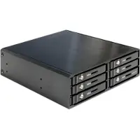 DeLOCK 5.25" Mobile Rack for 6 x 2.5" SATA HDD / SSD - Compartiment pour lecteur de support de stockage - 2.5
