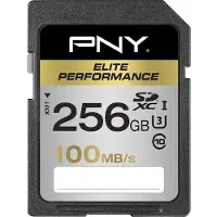 PNY Technologies Carte SDXC 256 Go, Classe 10, Elite Perf (256 Go, SDXC, U3, UHS-I), Carte mémoire, Noir