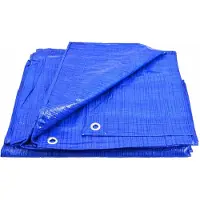 AWTOOLS BÂCHE BLEUE 70g 10* 20m